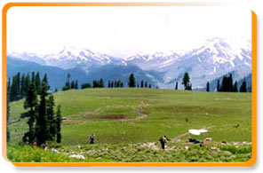 Kashmir