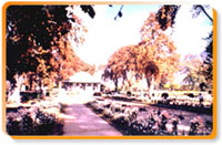 Nishat Garden, Kashmir