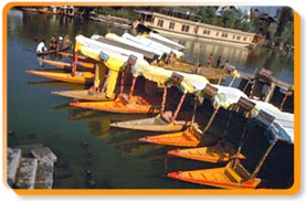 Shikaras on Dal Lake, Kashmir